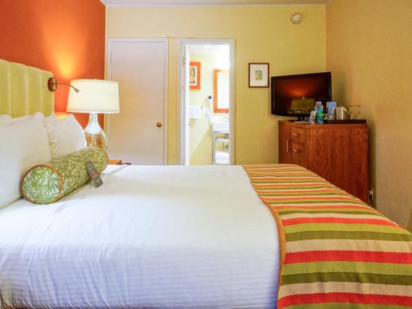 Hotel Del Sol : photo 7 de la chambre chambre lit queen-size - accessible aux personnes à mobilité réduite