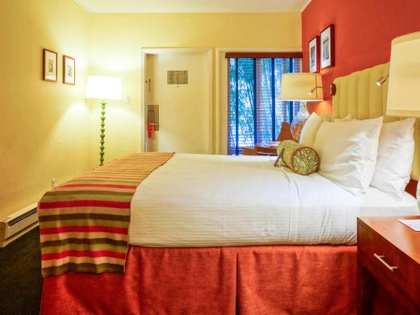 Hotel Del Sol : photo 3 de la chambre chambre lit queen-size - vue sur piscine