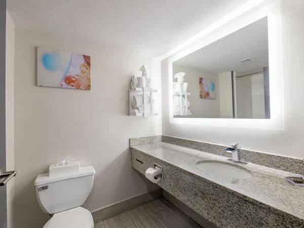 Wingate by Wyndham Atlanta Galleria/ Ballpark : photo 1 de la chambre chambre lit king-size - non-fumeurs