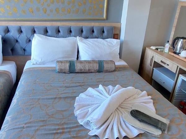 PARIS HOTEL CAFE RESTAURANT : photo 3 de la chambre chambre triple standard