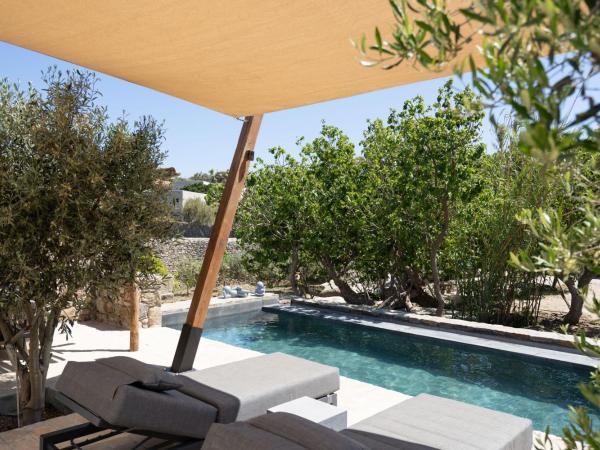 Ikies of Mykonos : photo 2 de la chambre villa familiale avec piscine privée