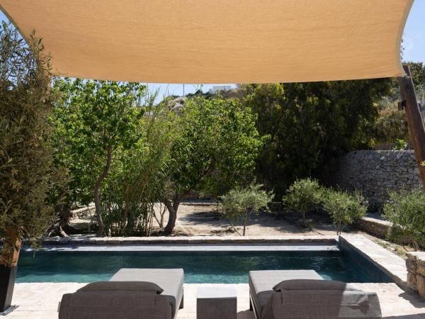 Ikies of Mykonos : photo 3 de la chambre villa familiale avec piscine privée