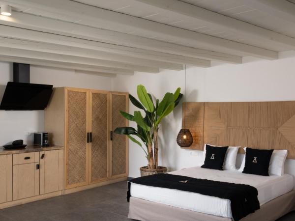 Ikies of Mykonos : photo 2 de la chambre suite exécutive avec piscine privée