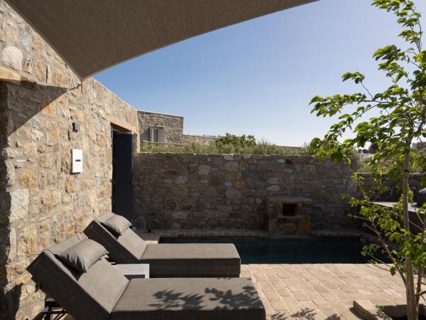 Ikies of Mykonos : photo 9 de la chambre suite exécutive avec piscine privée