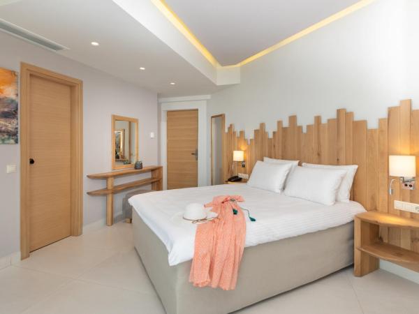 Star Beach Village & Water Park : photo 4 de la chambre chambre double Économique - bâtiment annexe 