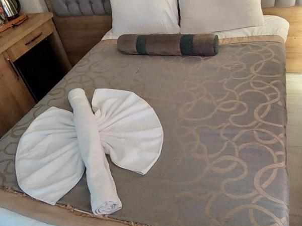 PARIS HOTEL CAFE RESTAURANT : photo 5 de la chambre chambre double standard