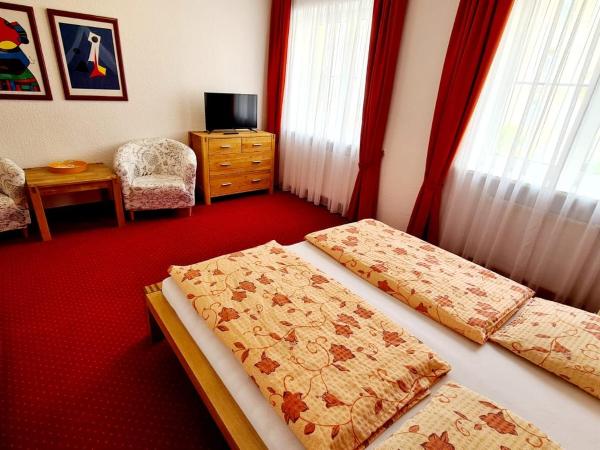 Penzion Valkoun-Lilienfeld : photo 4 de la chambre chambre double standard