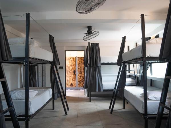 Hostel Oryx Tulum : photo 1 de la chambre lit dans dortoir mixte de 10 lits