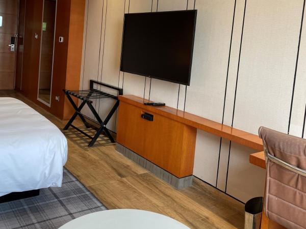 Hyatt Centric Janakpuri New Delhi : photo 3 de la chambre chambre lit king-size