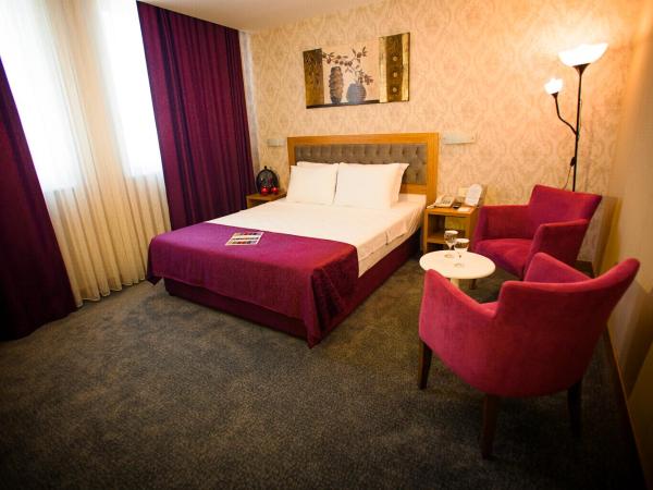 Helikon Business Hotel : photo 1 de la chambre chambre double standard