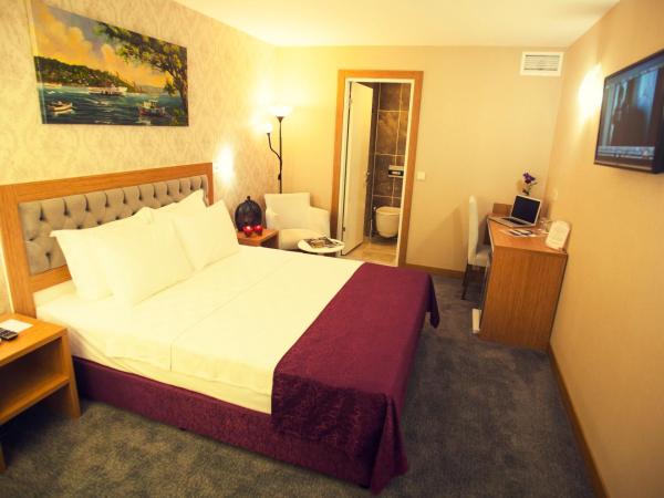 Helikon Business Hotel : photo 3 de la chambre chambre double ou lits jumeaux Économique