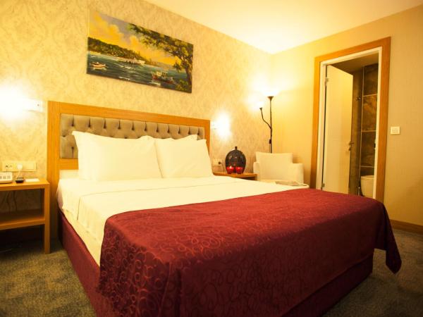 Helikon Business Hotel : photo 8 de la chambre chambre double ou lits jumeaux Économique