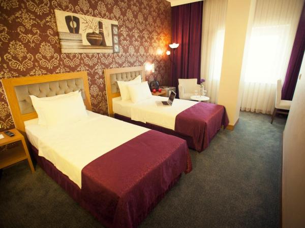 Helikon Business Hotel : photo 4 de la chambre chambre double standard