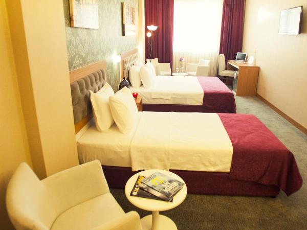 Helikon Business Hotel : photo 2 de la chambre chambre supérieure