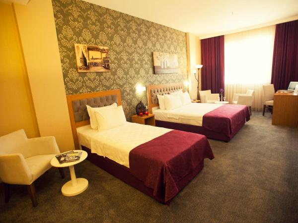 Helikon Business Hotel : photo 6 de la chambre chambre supérieure