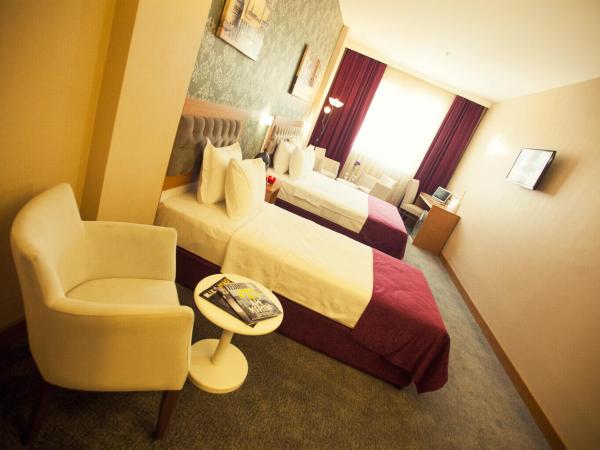 Helikon Business Hotel : photo 4 de la chambre chambre supérieure