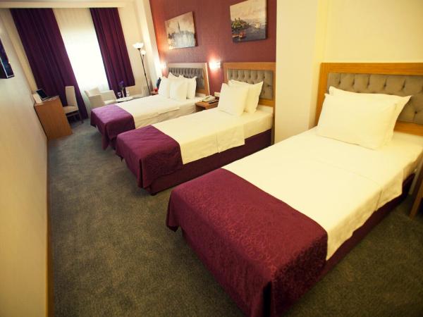 Helikon Business Hotel : photo 3 de la chambre chambre familiale