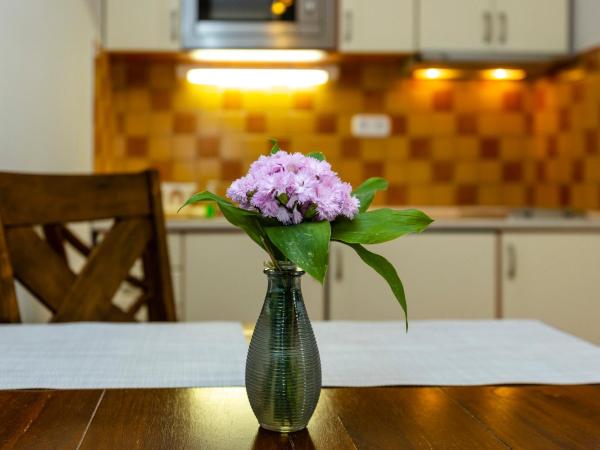 Servita Udvarház Eger : photo 8 de la chambre appartement avec douche