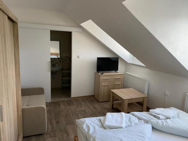 Hostinec U Pejska a Kocicky : photo 5 de la chambre chambre double avec salle de bains privative