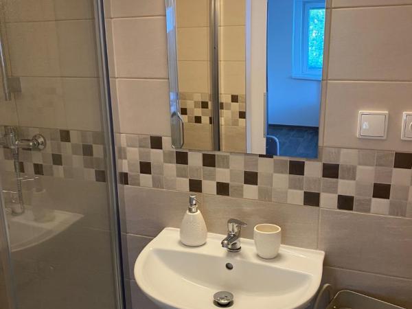 Hostinec U Pejska a Kocicky : photo 6 de la chambre chambre double avec salle de bains privative