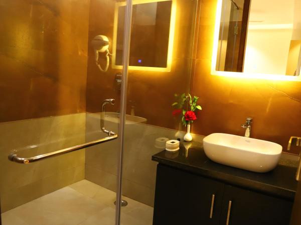 Hotel Malbork Inn Rajouri Garden Delhi - Couple Friendly Local IDs Accepted : photo 2 de la chambre chambre lit king-size deluxe