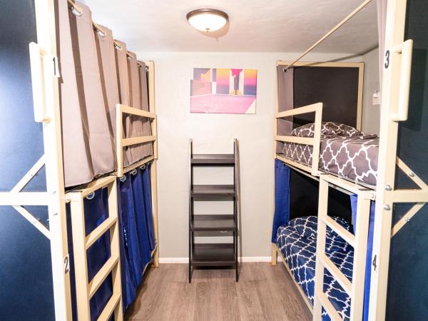 California Dreams Hostel - Ocean Beach : photo 4 de la chambre lit dans dortoir pour femmes de 4 lits