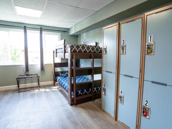 California Dreams Hostel - Ocean Beach : photo 5 de la chambre lit dans dortoir mixte de 6 lits