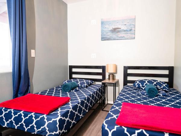 California Dreams Hostel - Ocean Beach : photo 6 de la chambre chambre double ou lits jumeaux supérieure