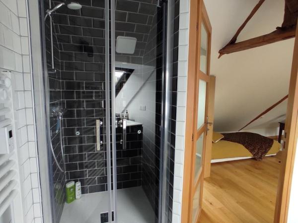 Aux Trois Palmiers : photo 5 de la chambre chambre familiale avec salle de bains privative