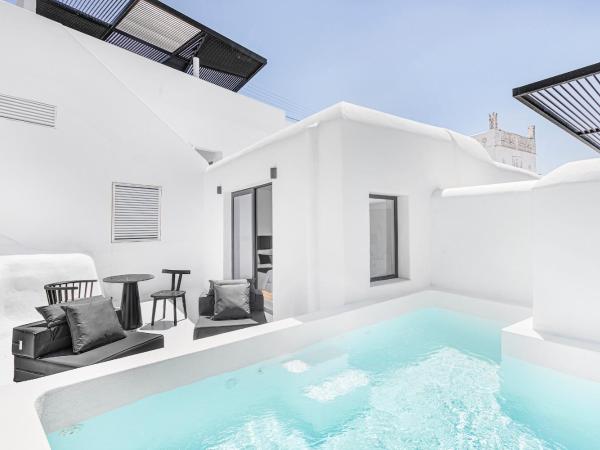 Tagoo Black Mykonos : photo 6 de la chambre suite junior avec piscine privée