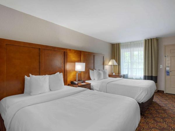 Comfort Inn Downtown Nashville - Music City Center : photo 2 de la chambre chambre lit queen-size dual