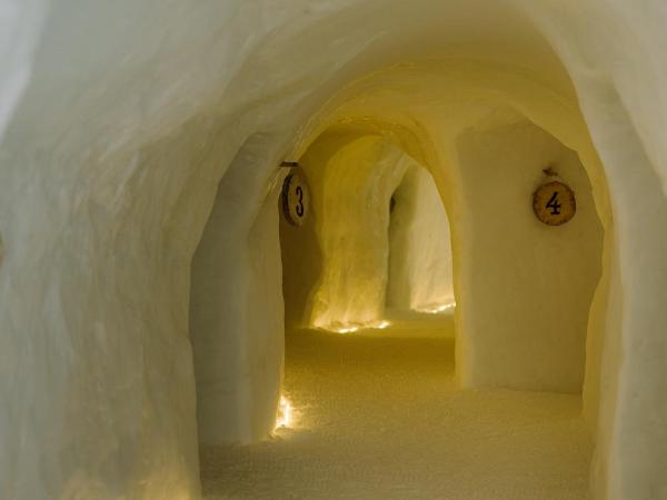 Berg- & Naturhotel Engstligenalp : photo 6 de la chambre igloo (2 personnes)