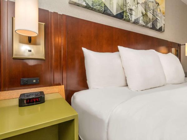 Comfort Inn West : photo 2 de la chambre hébergement lit king-size - non-fumeurs - 2e Étage