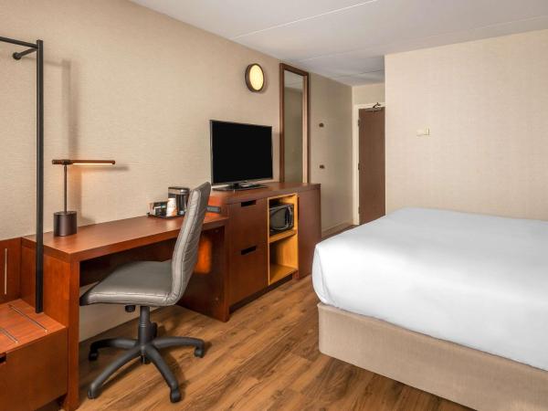 Comfort Inn West : photo 3 de la chambre hébergement lit king-size - non-fumeurs - rez-de-chaussée - animaux domestiques admis