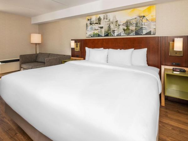 Comfort Inn West : photo 1 de la chambre hébergement lit king-size - non-fumeurs - rez-de-chaussée - animaux domestiques admis