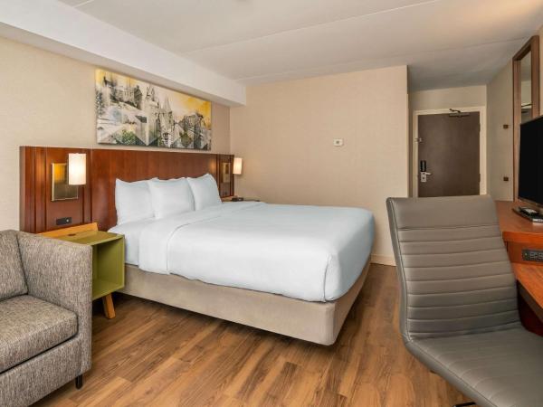 Comfort Inn West : photo 2 de la chambre hébergement lit king-size - non-fumeurs - rez-de-chaussée - animaux domestiques admis