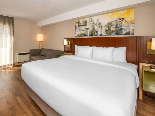 Comfort Inn West : photo 4 de la chambre hébergement lit king-size - non-fumeurs - rez-de-chaussée - animaux domestiques admis