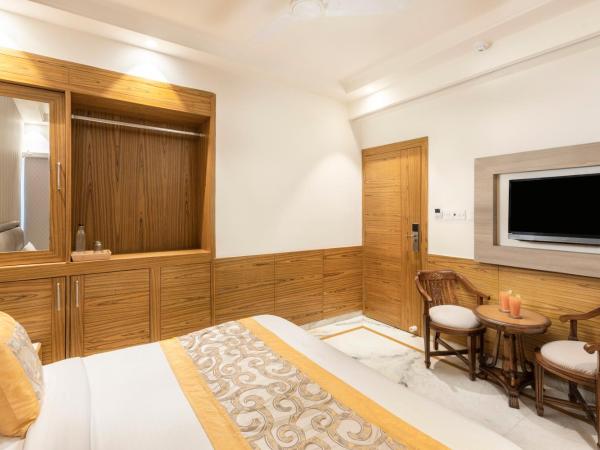 Hotel Star - Near Delhi Airport : photo 5 de la chambre chambre deluxe