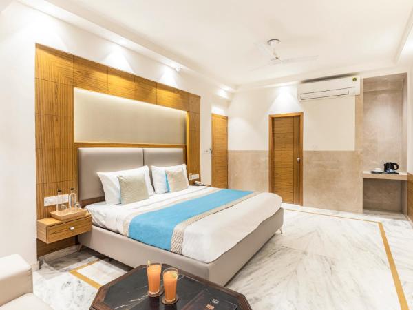 Hotel Star - Near Delhi Airport : photo 2 de la chambre chambre super deluxe