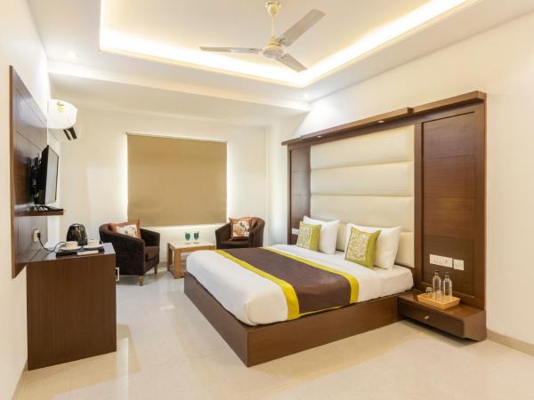 Hotel Star - Near Delhi Airport : photo 6 de la chambre chambre super deluxe