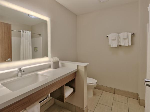 Holiday Inn Express & Suites - Albuquerque East, an IHG Hotel : photo 9 de la chambre chambre standard avec 2 lits queen-size