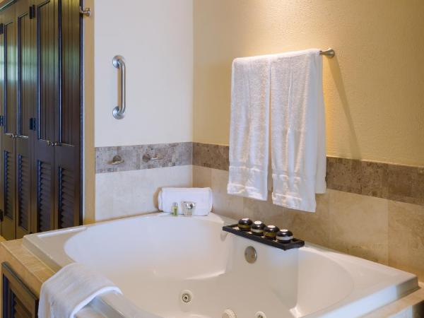 Garza Blanca Preserve Resort & Spa : photo 9 de la chambre suite 1 chambre