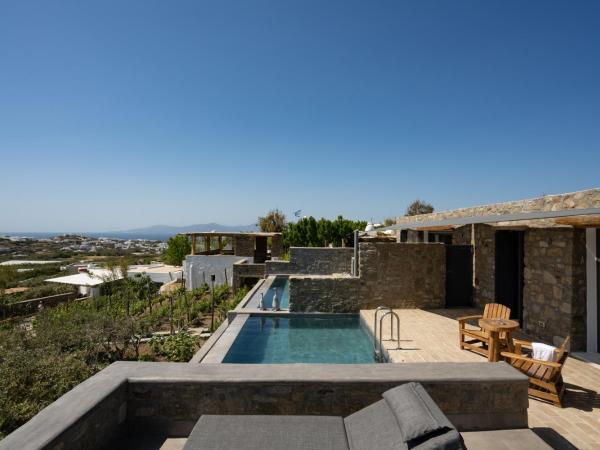 Ikies of Mykonos : photo 3 de la chambre suite avec piscine privée