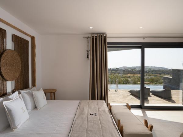 Ikies of Mykonos : photo 4 de la chambre suite avec piscine privée