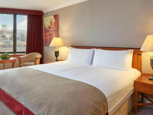 InterContinental Budapest, an IHG Hotel : photo 5 de la chambre chambre lit king-size première - vue sur rivière
