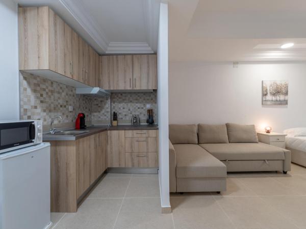 CASADELMAR Marbella 20 APARTAMENTOS VACACIONALES : photo 4 de la chambre appartement