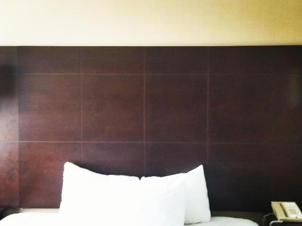Comfort Inn & Conference Centre Toronto Airport : photo 4 de la chambre chambre lit king-size standard