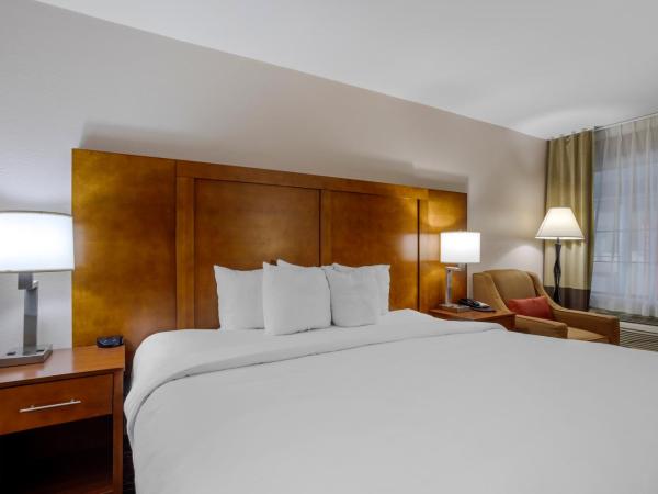 Comfort Inn Downtown Nashville - Music City Center : photo 10 de la chambre single king