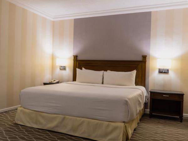 Gamma Monterrey Gran Hotel Ancira : photo 6 de la chambre chambre lit king-size exécutive