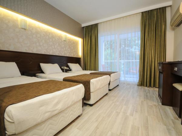 Palmea Hotel : photo 3 de la chambre chambre triple standard